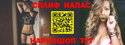прущие грибы Комсомольск-на-Амуре