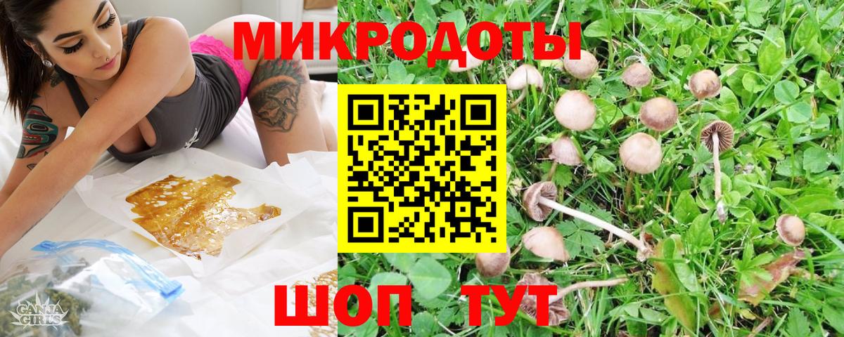 Галлюциногенные грибы Psilocybe  Галлюциногенные грибы GOLDEN TEACHER  Краснознаменск  Вход с VPN 